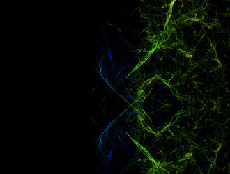 Similar image 21641835