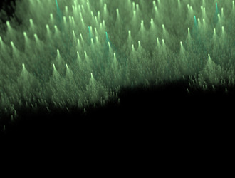 Similar image 21642146