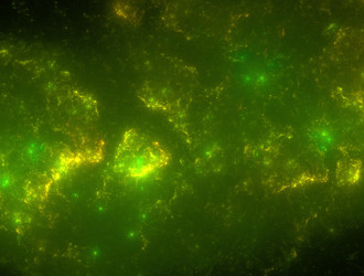 Similar image 21642148