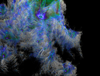 Similar image 21642156