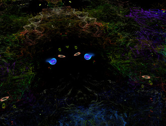 Similar image 21641613