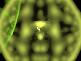 Similar image 21643275