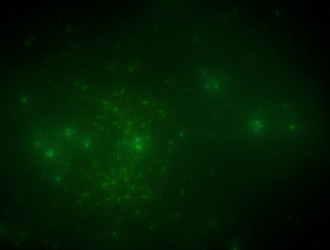 Similar image 21638507