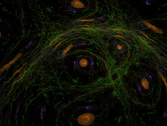 Similar image 21643082