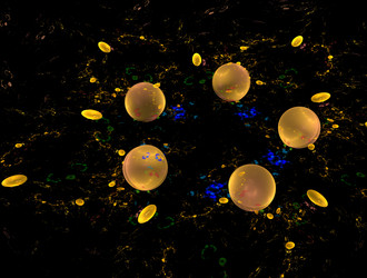 Similar image 21641893