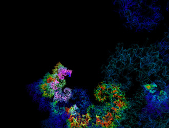 Similar image 21642220