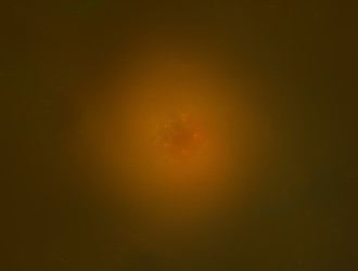 Similar image 21642232