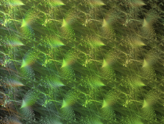 Similar image 21644014