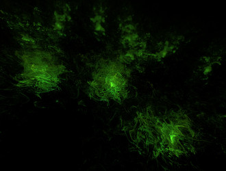 Similar image 21641915