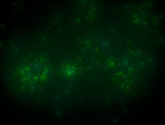 Similar image 21643642