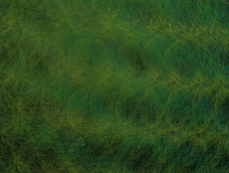 Similar image 21643646