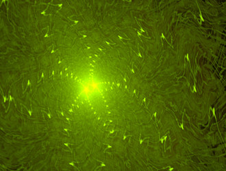 Similar image 21638519