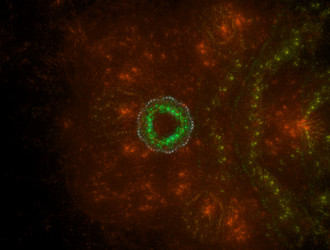 Similar image 21642614