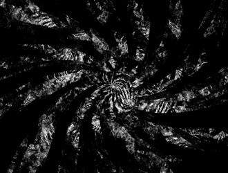 Similar image 21643458