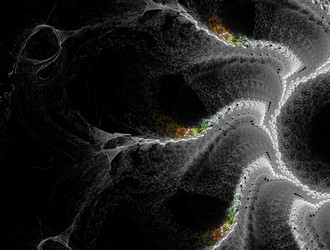 Similar image 21642439