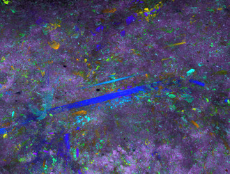 Similar image 21643474