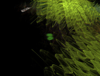 Similar image 21643678