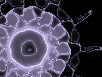 Similar image 21643100