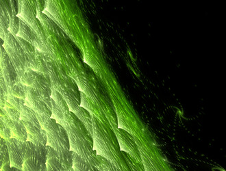 Similar image 21643488