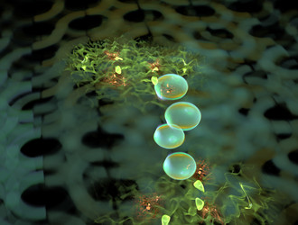 Similar image 21643506