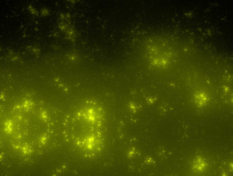 Similar image 21641999