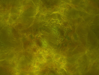 Similar image 21643300