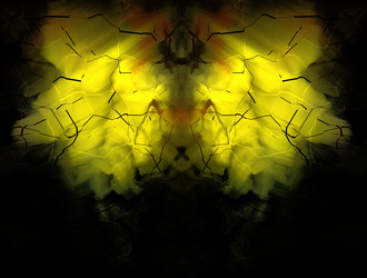 Similar image 21638956