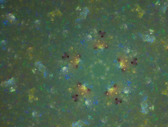 Similar image 21642016