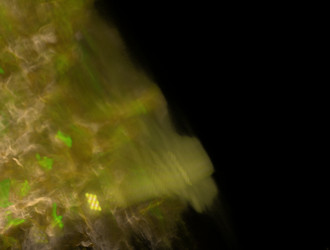 Similar image 21641685