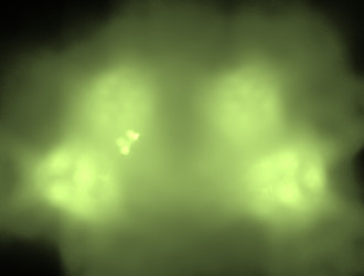 Similar image 21643695