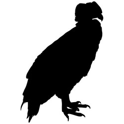 Similar image 21651272