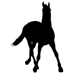 Similar image 21635548