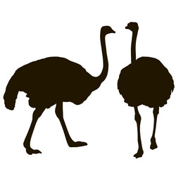 Similar image 21633069