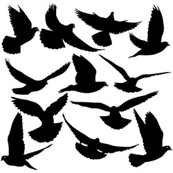 Similar image 21633263