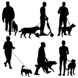 Similar image 21635550