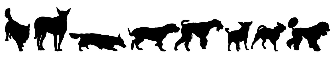 Similar image 21633277