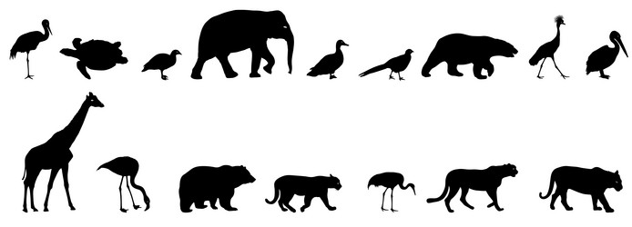 Similar image 21634105