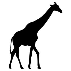 Similar image 21655518