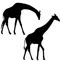 Similar image 21633288