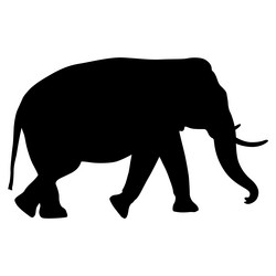 Similar image 21635169