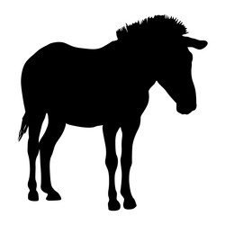 Similar image 21635171