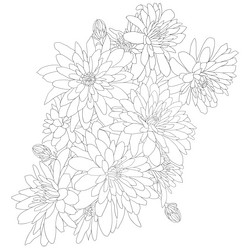 Similar image 21645289