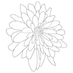 Similar image 21645294