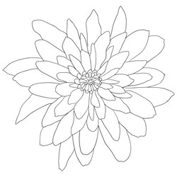 Similar image 21646793