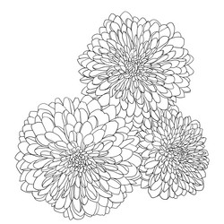 Similar image 21646968