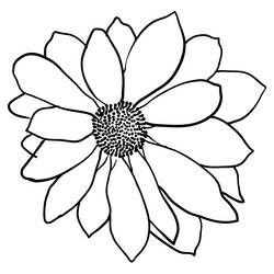 Similar image 21647003