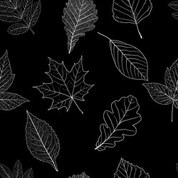 Similar image 21647239