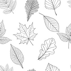 Similar image 21648371