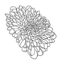 Similar image 21651313