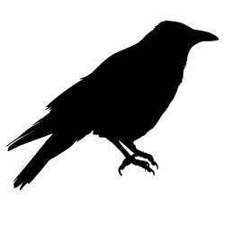 Similar image 21633096